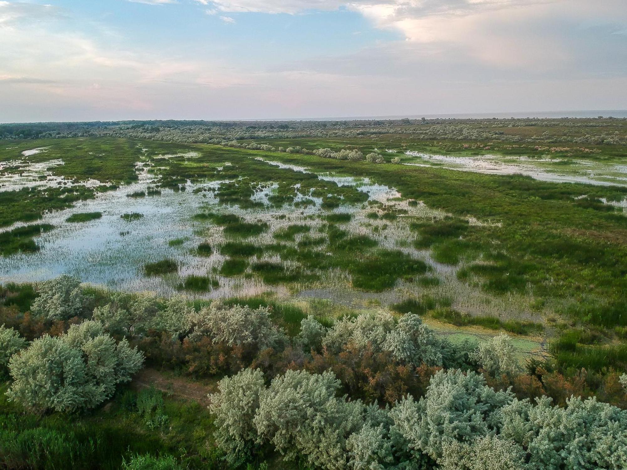 Dolphin Camping Sfântu Gheorghe Exteriör bild